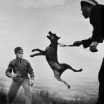 E. Smith – US Army Dog Training Center, World War II – 1941
